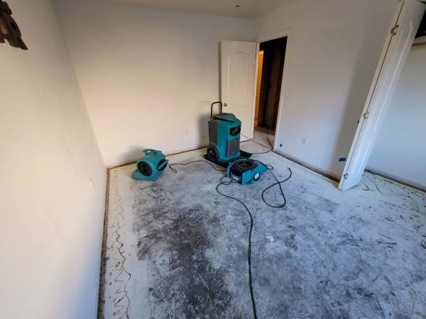 Best Water damage restoration near me  in Park Forest, IL