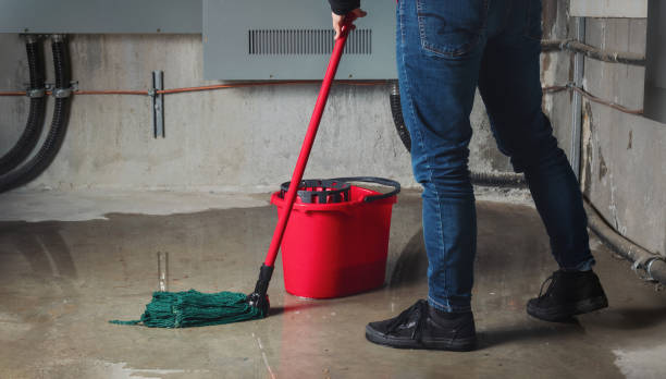 Best 24/7 water damage repair  in Park Forest, IL