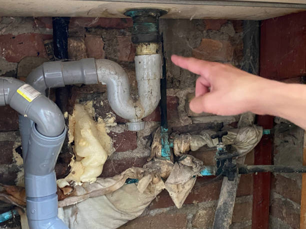Best Water damage restoration near me  in Park Forest, IL