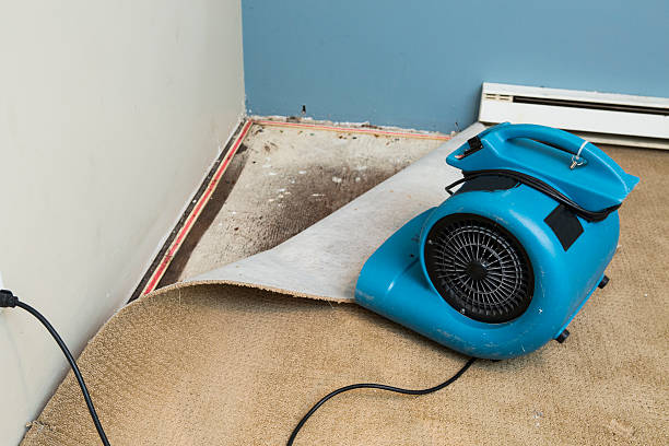 Best Water damage contractors near me  in Park Forest, IL