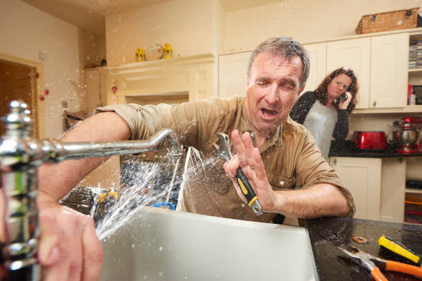 Best Water damage mitigation services  in Park Forest, IL